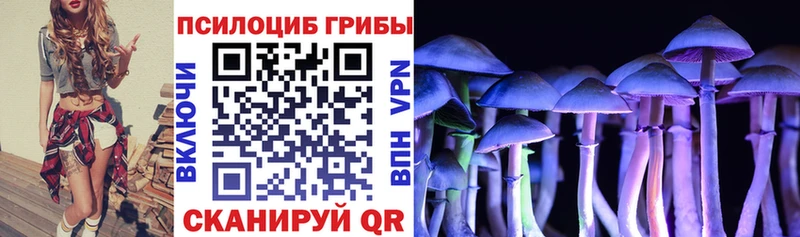 Псилоцибиновые грибы прущие грибы  Купить  Гудермес 